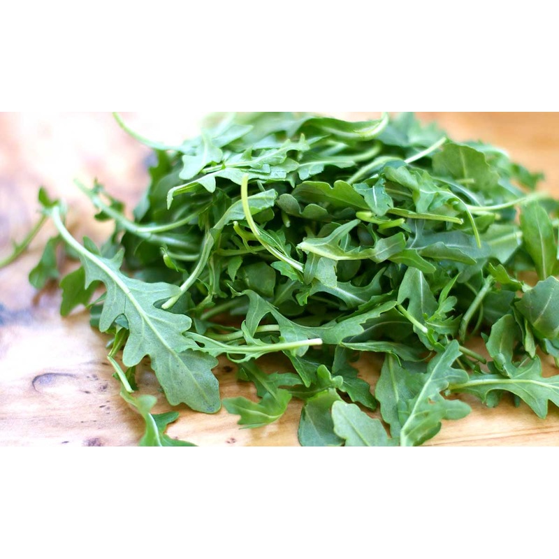 ARUGULA ‘Pronto’ –Eruca vesicaria–