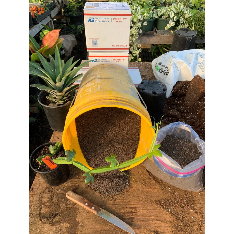 Fruit/Flower/Flourish Fertilizer