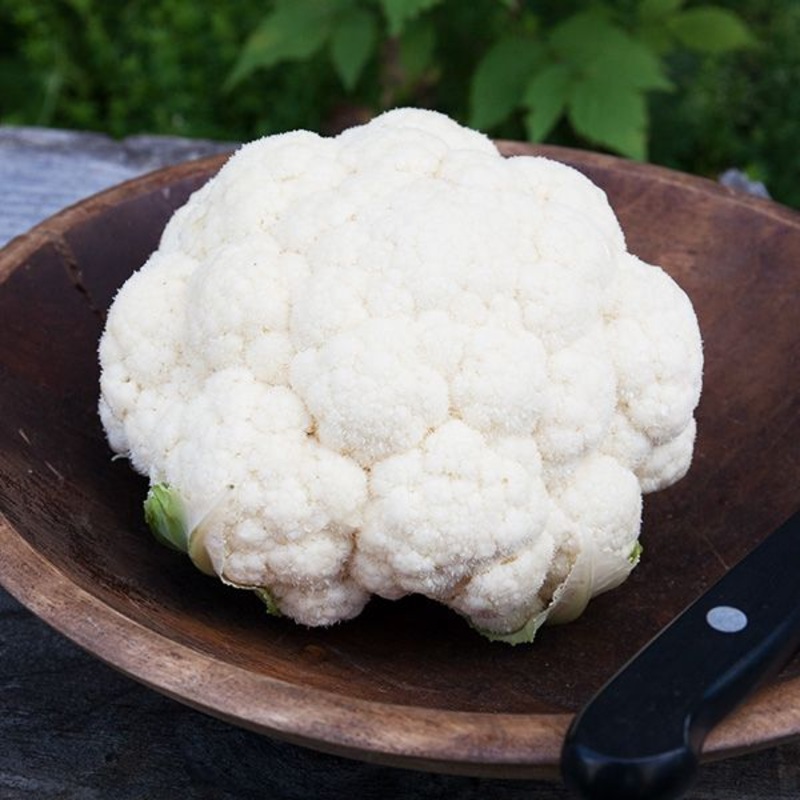 CAULIFLOWER ‘Adona’|4″ square pot
