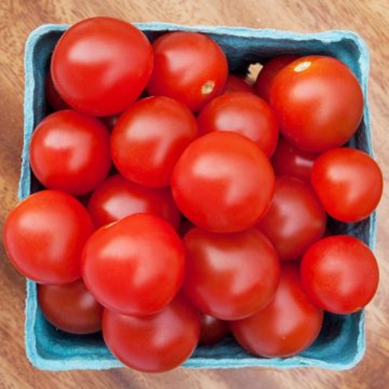 TOMATO ‘Bing Cherry’|4″ square pot