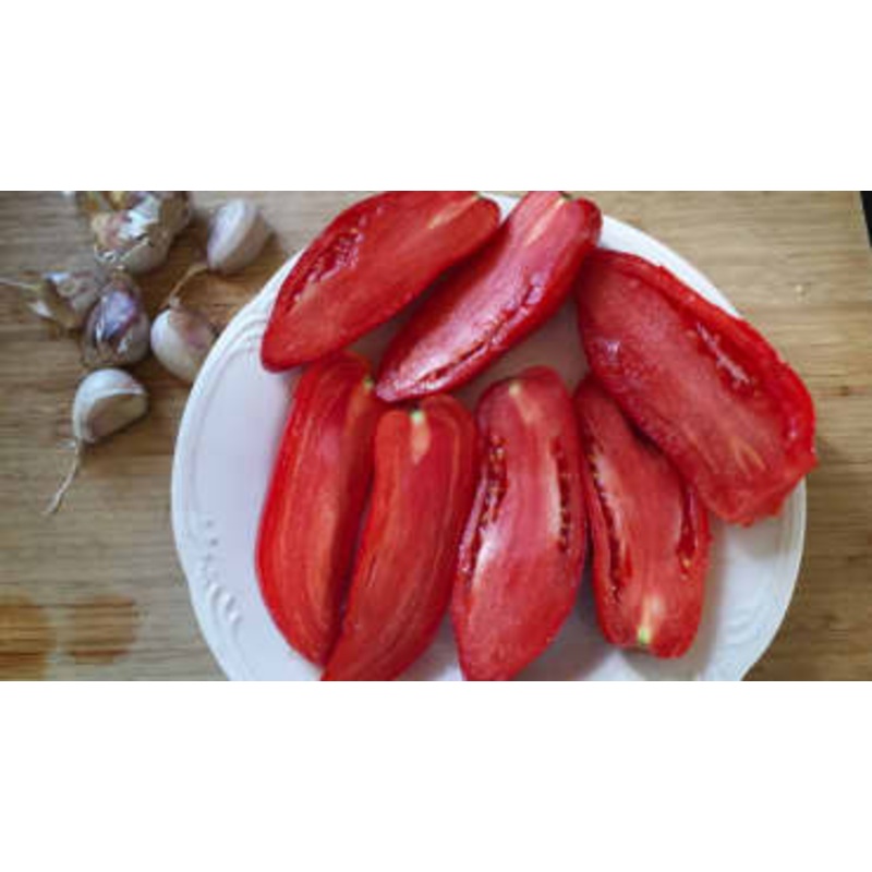 TOMATO ‘Opalka Paste’|4″ square pot