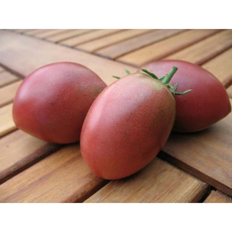TOMATO ‘Ukrainian Purple’|4″ square pot
