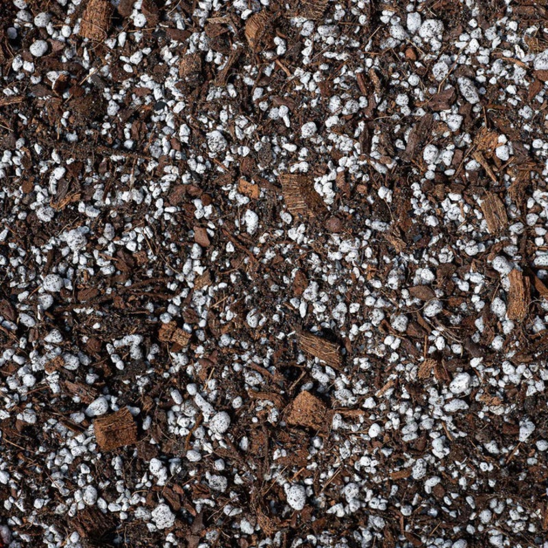 Hoya Premium Potting Mix|2.5L|5L|8L|16L