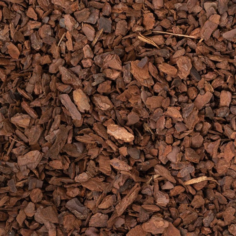 Orchid Bark (Medium Grade)|2.5L|5L|8L|16L