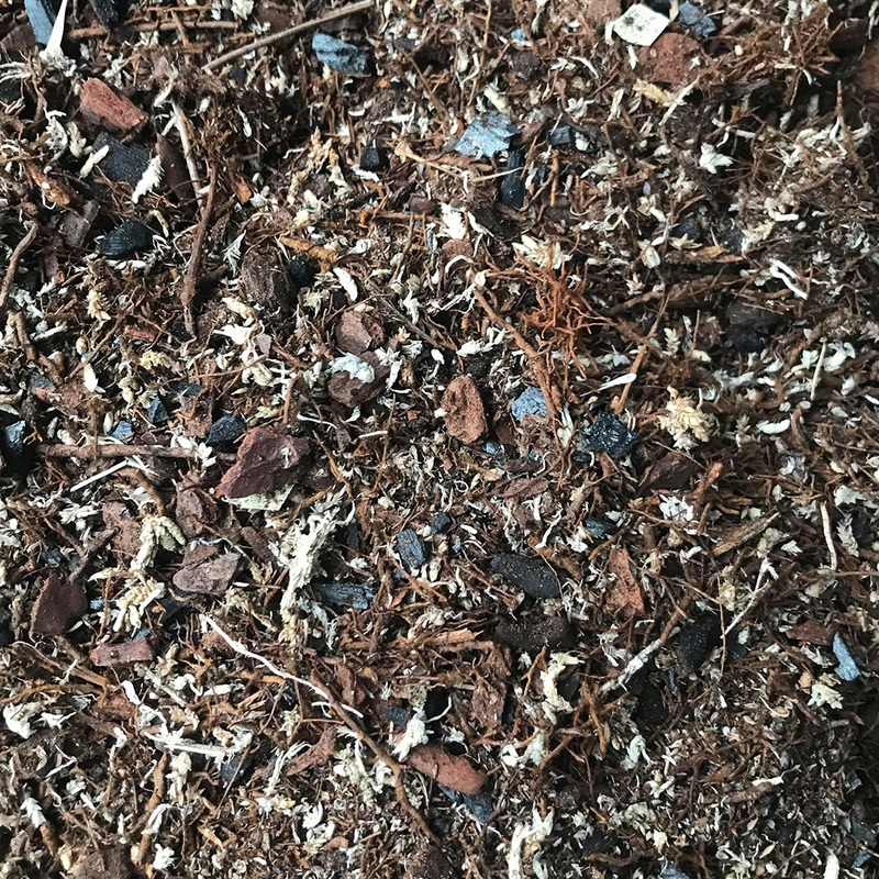 Terrarium Premium Substrate (ABG Mix)