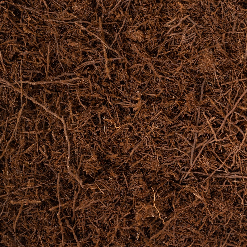 Tree Fern Fibre (Sustainably Sourced)