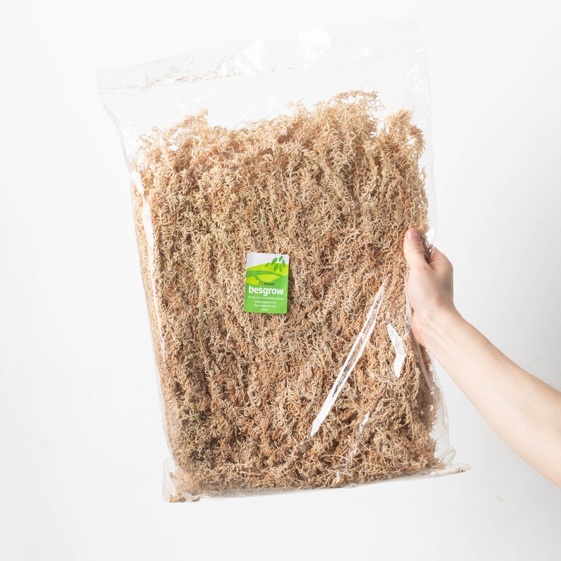 Besgrow Sphagnum Moss | Strand Moss