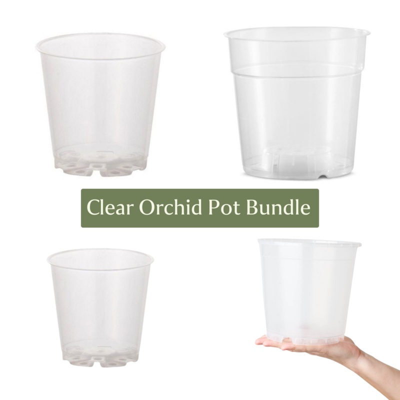 Clear Orchid Pot Bundle (Mixed Sizes)